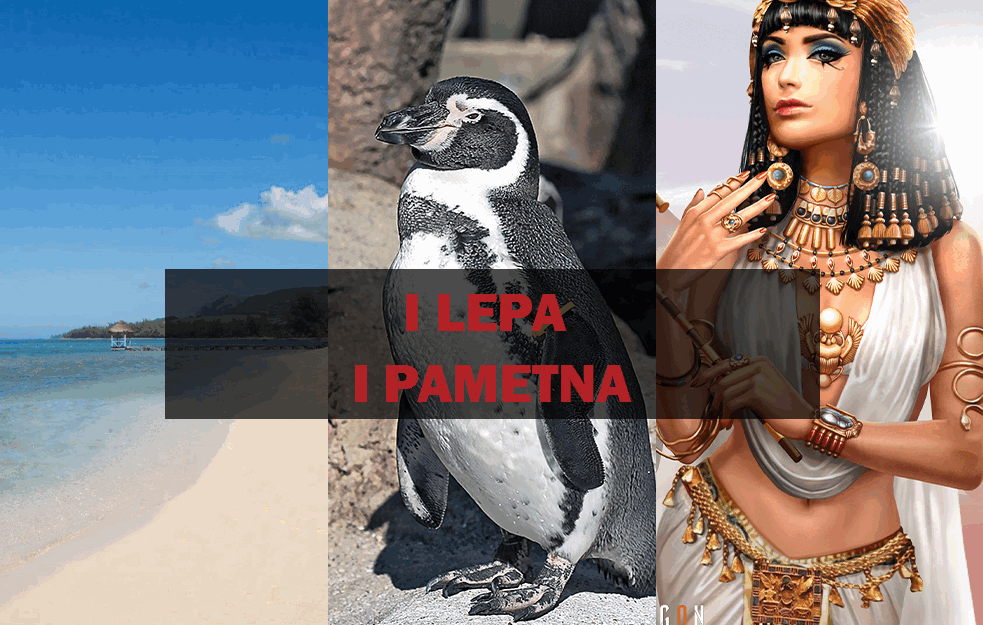 TOP VESTI 17.08.2020. - I LEPA I PAMETNA